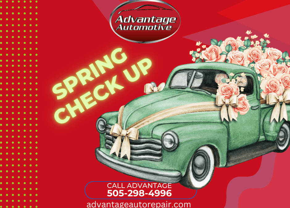 Spring Check Up